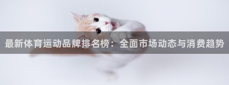 3377体育官网下载招商：最新体育运动品牌排名榜：全