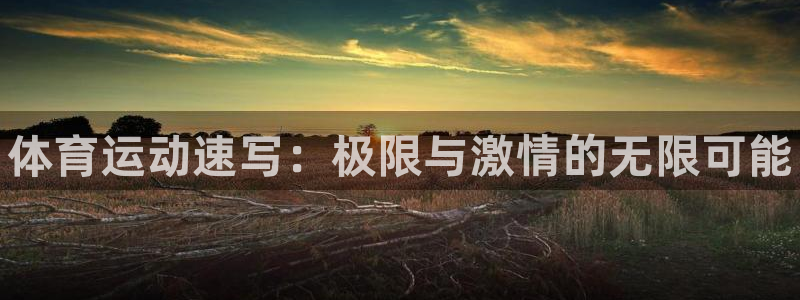 3377体育官网下载招商电话号码查询：体育运动速写：