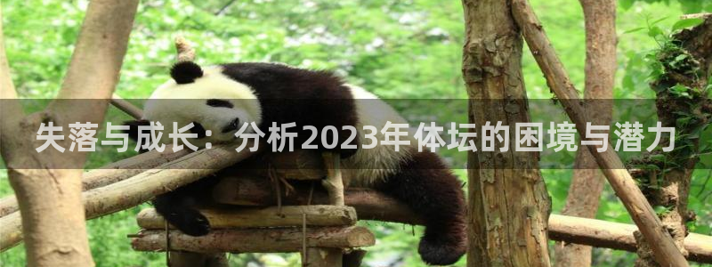 3377体育官网下载平台是正规平台吗安全吗：失落与成