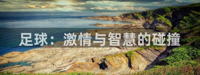 3377体育官网下载招商电话地址查询：足球：激情与智