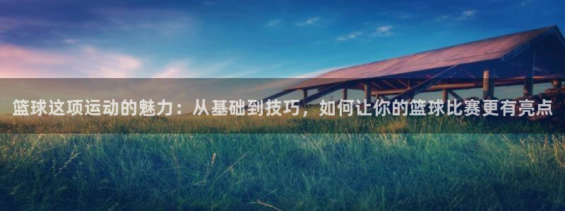3377体育官网下载联系电话：篮球这项运动的魅力：从基础到技