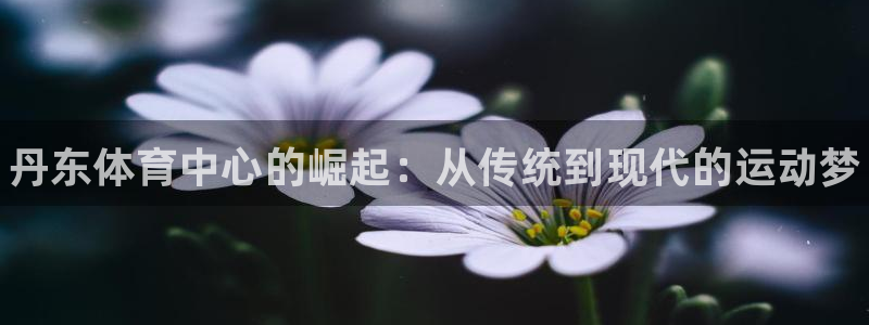 3377体育官网下载注册：丹东体育中心的崛起：从传统