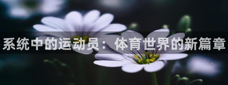 3377体育官网下载招商电话号码：系统中的运动员：体