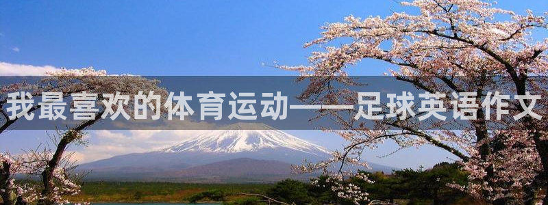 3377体育官网下载注册：我最喜欢的体育运动——足球英语作文
