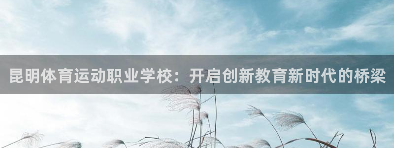 3377体育官方正版app娱乐