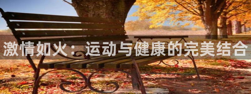 3377体育官网下载是干嘛的公司：激情如火：运动与健康的完美