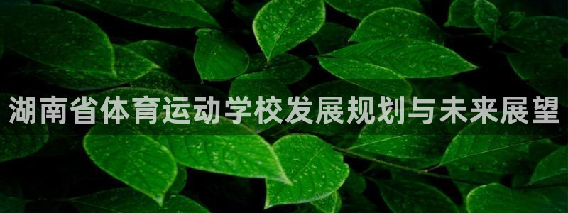 3377体育官网下载平台APP：湖南省体育运动学校发