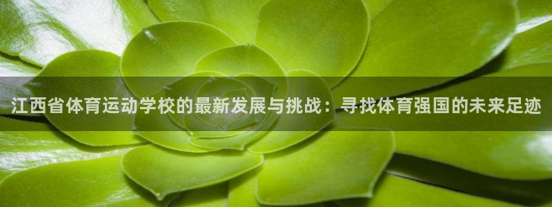 3377体育官方正版app官方：江西省体育运动学校的