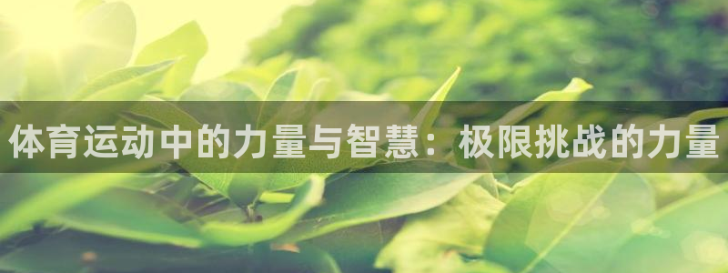 3377体育官网下载招商电话号码查询是多少：体育运动中的力量