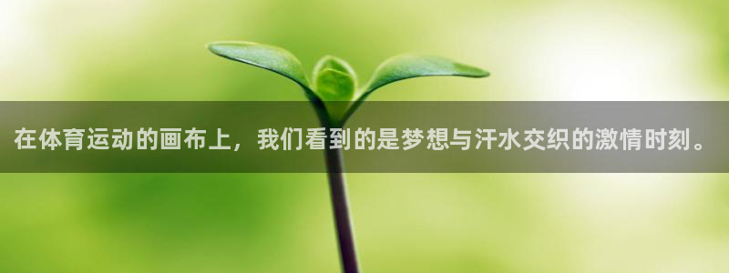 3377体育官方集团官网：在体育运动的画布上，我们看到的是梦