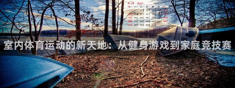 3377体育官网下载平台注册流程视频：室内体育运动的