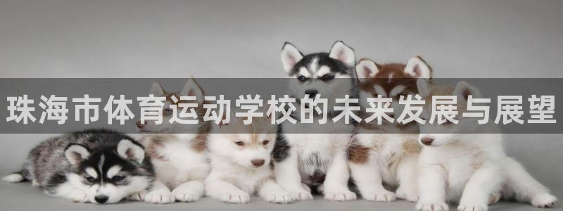 3377体育官方正版app娱乐首页官网下载：珠海市体
