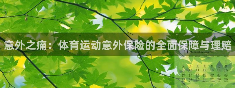 3377体育官方正版app娱乐首页网站大全：意外之痛