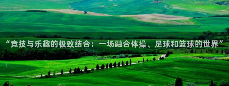 3377体育官网下载招商电话号码是多少：“竞技与乐趣