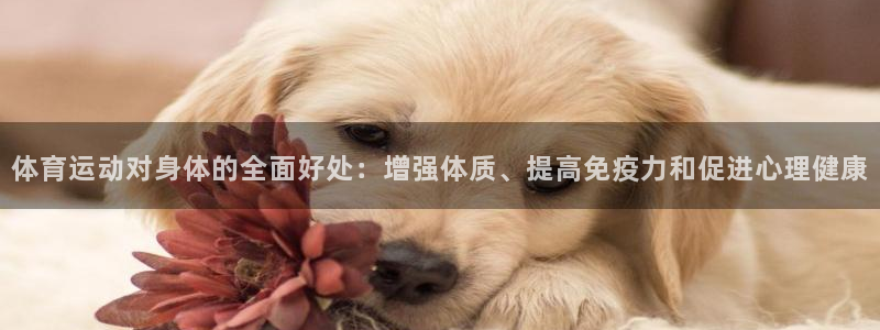 3377体育官方正版app娱乐：体育运动对身体的全面好处：增