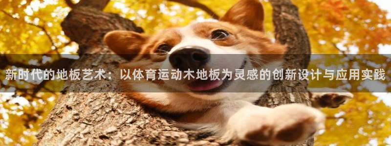 3377体育官网下载是干嘛的公司：新时代的地板艺术：