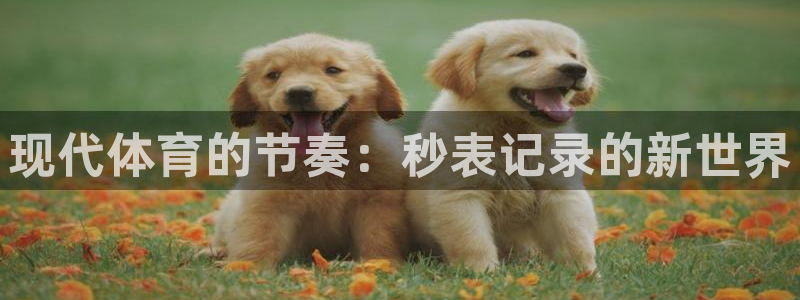 注册3377体育官方正版app：现代体育的节奏：秒表记录的新