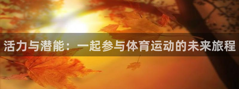 3377体育官方正版app官网：活力与潜能：一起参与