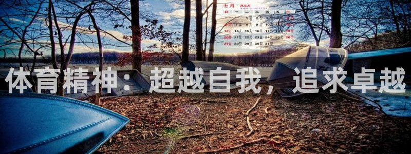 3377体育官网下载平台注册要钱吗是真的吗：体育精神