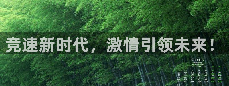 3377体育官方正版app代理：竞速新时代，激情引领未来！