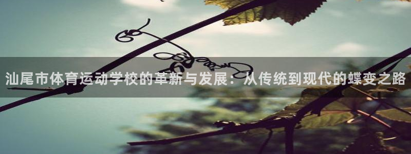 3377体育官方正版app娱乐网站：汕尾市体育运动学