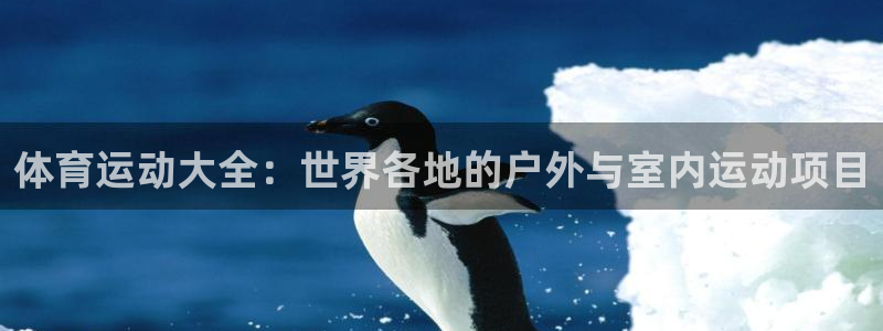 3377体育官方正版app集团官网首页：体育运动大全：世界各