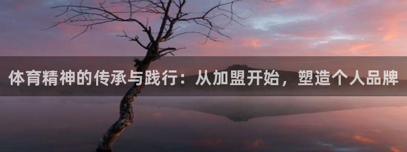 海南3377体育官网下载：体育精神的传承与践行：从加