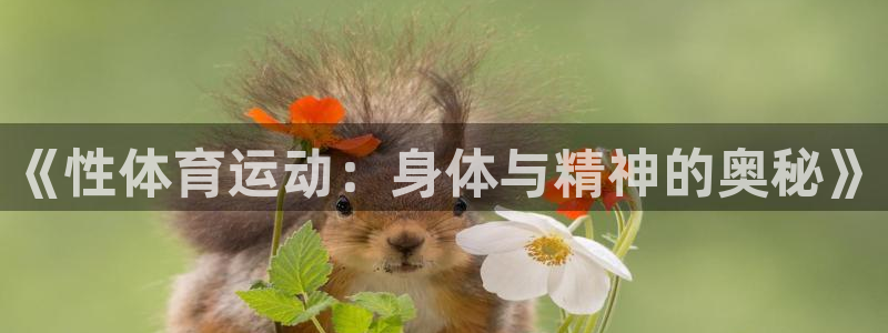 3377体育官网下载招商电话号码