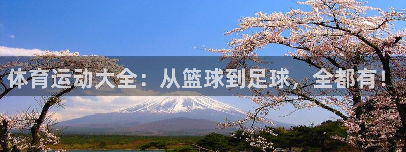 3377体育官网下载招商电话：体育运动大全：从篮球到足球，全