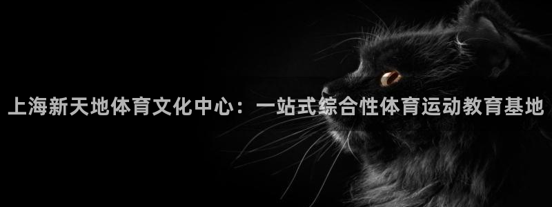 3377体育官方正版app娱乐