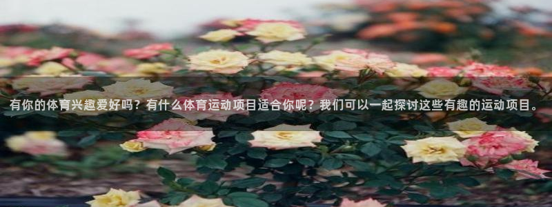 3377体育官方正版app娱乐下载：有你的体育兴趣爱