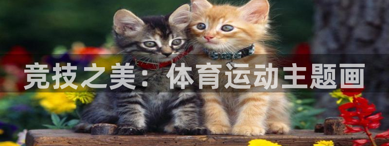 3377体育是哪的：竞技之美：体育运