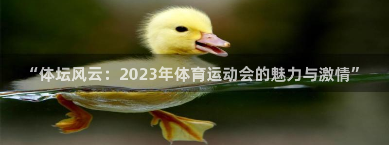  3377体育平台正规吗怎么样：“体坛风云：2023年体育运动