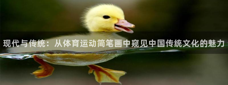  3377体育退款：现代与传统：从体育运动简笔画中窥见中国传统