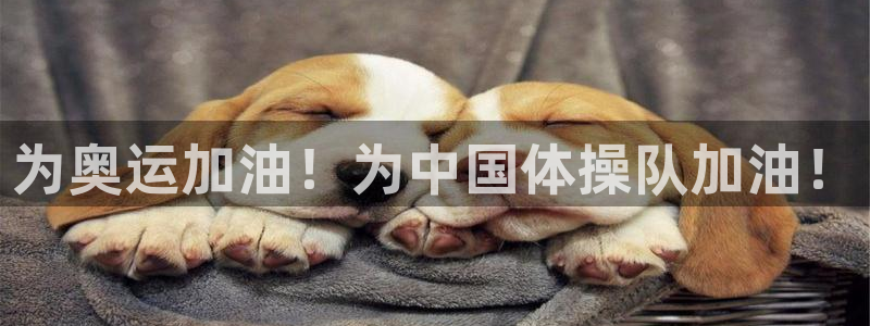 3377体育：为奥运加油！为中国体操