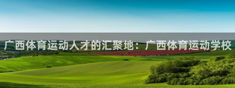 3377体育有风险吗：广西体育运动人