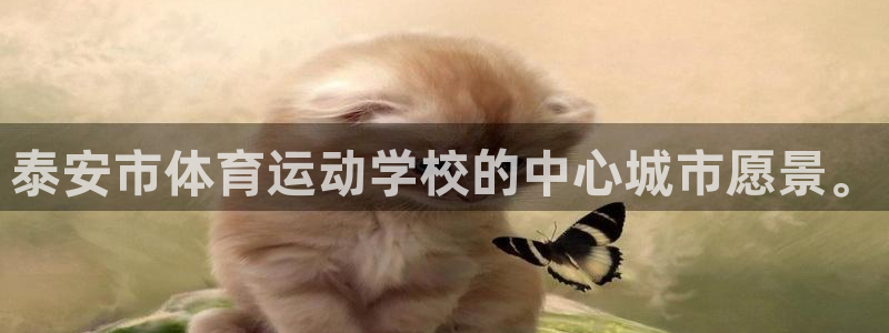 3377体育平台正规吗怎么样：泰安市体育运动学校的中心城市愿
