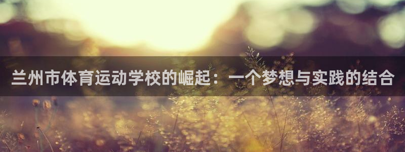 3377体育是正规平台吗：兰州市体育