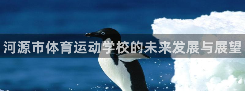  3377体育属于国家打击范围吗：河源市体育运动学校的未来发展