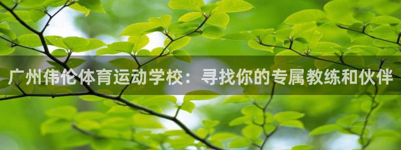 3377体育是干嘛的：广州伟伦体育运动学校：寻找你的专属教练