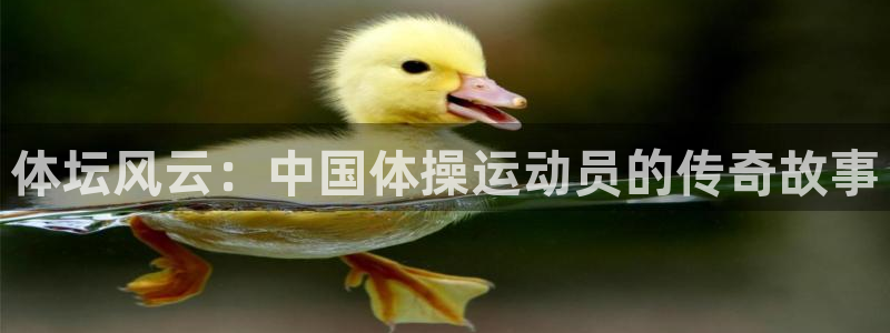 3377体育不出款：体坛风云：中国体